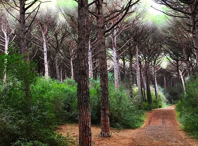 Camping Helloocamp Marina Di Bibbona
