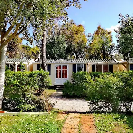 Helloocamp * Marina Di Bibbona