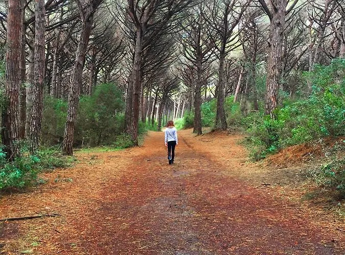 Helloocamp 마리나디비보나