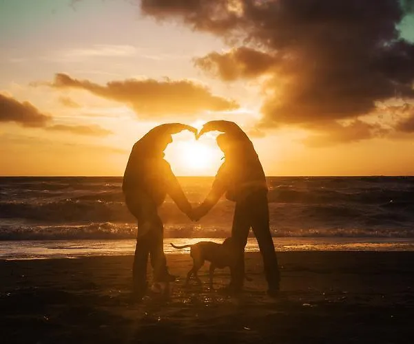 Helloocamp * 마리나디비보나