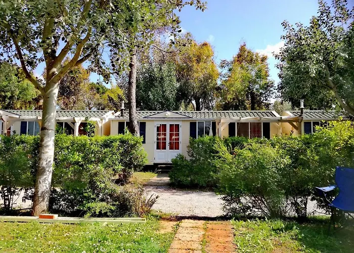 Helloocamp * 마리나디비보나