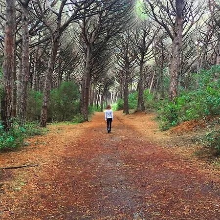 Helloocamp Marina Di Bibbona