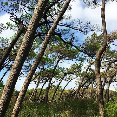 Camping Helloocamp *