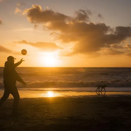 Camping Helloocamp Marina Di Bibbona