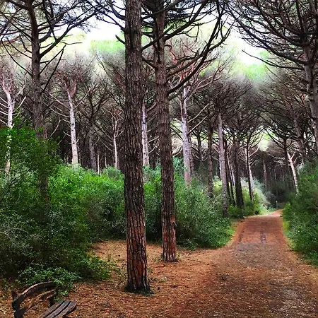 Camping Helloocamp Marina Di Bibbona