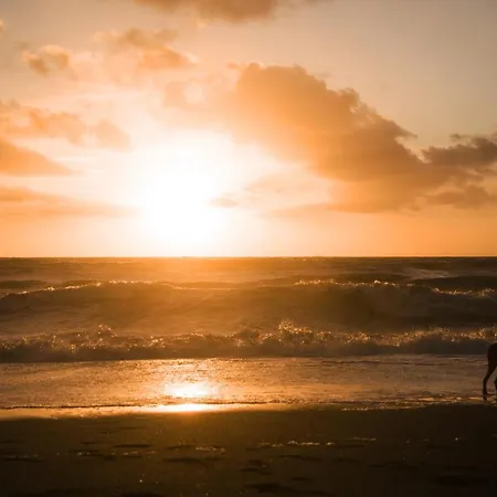 Camping Helloocamp *