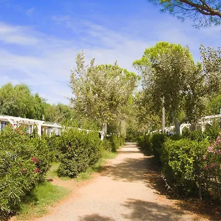 Camping Helloocamp *